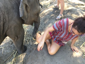 Sloníča sa rozhodlo chytiť turistku za kotník :-)